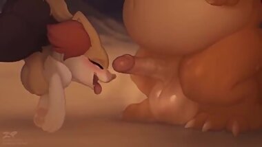 Charizard and braixen Pokemon