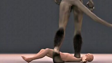 3D . 6