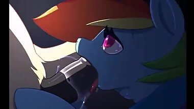 mlp rainbow dash oral  cock