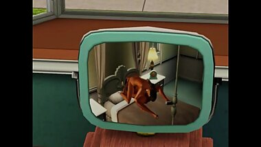 Your porn channel in the game sims 3, ADULT mods