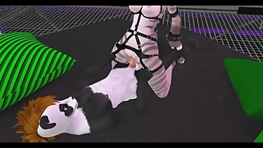 A panda mating with an kitty