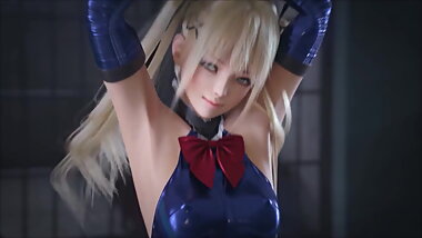 The Way Perfect Hentai Was (3D HMV)