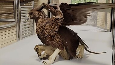 feral griff yiff