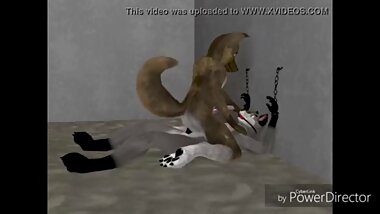 Dog and Wolf HD
