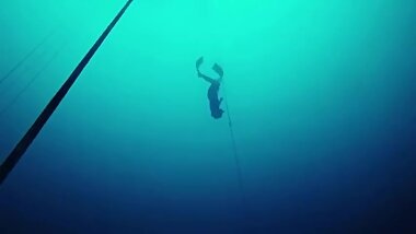 Fr33dive record