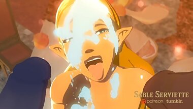 3D Hentai Legend of Zelda Breath of the Wild and Link