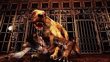 Khajiiti Teen Ravaged by Undead Hounds