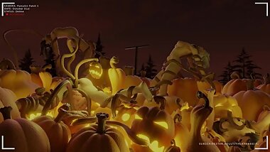 Halloween special - the pumpkin patch