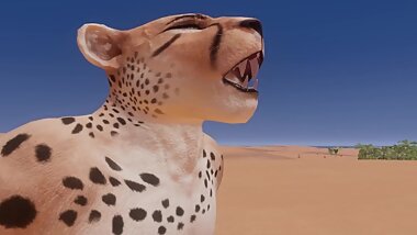 Leopard sex