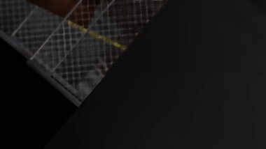 MMD Toxic - Maya