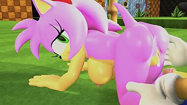 Sonic x Amy By Dradicon