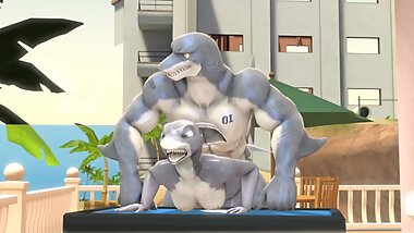anthro shar yiff
