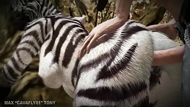 Zebra fucker man