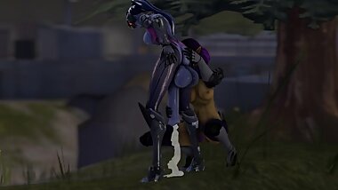 Widowmaker and Skye