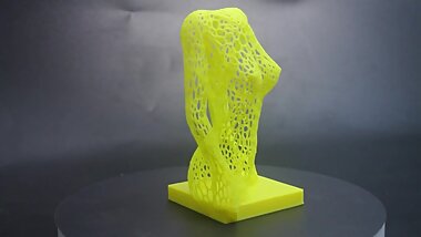 3D print Voronoi Female body
