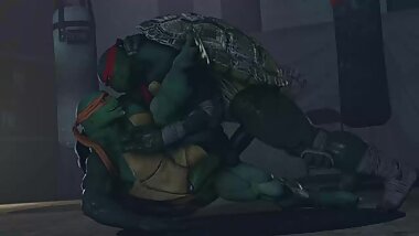 Michelangelo & Raphael - Teenage Mutant Ninja Turtles